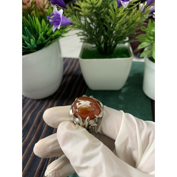 Batu Akik Sulaiman Madu