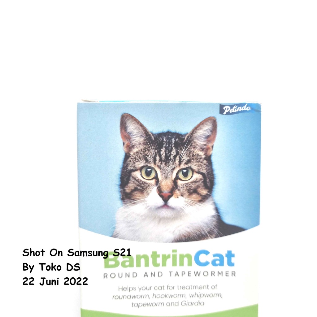 Bantrin Cat - Obat Cacing Kucing Original Obat Cacing Kitten Cat