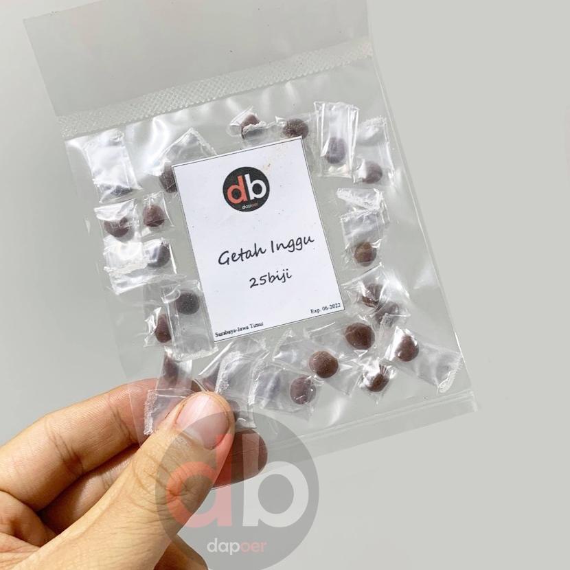 

GRATIS ONGKIR✅Getah Inggu 25butir|RA7