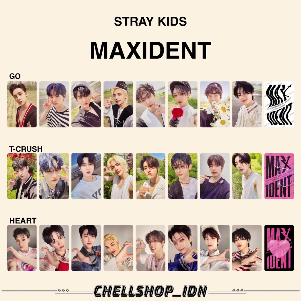 PHOTOCARD STRAY KIDS MAXIDENT GO | T-CRUSH | HEART