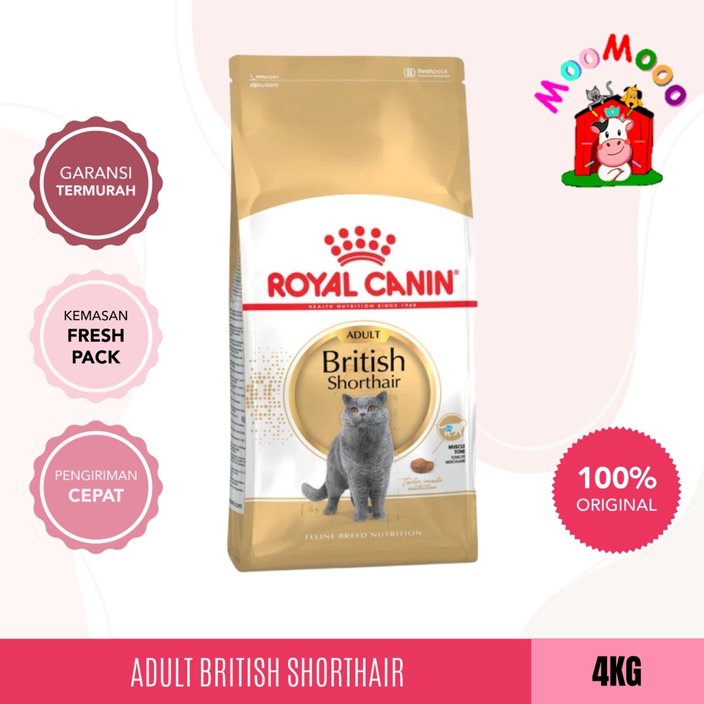 Royal Canin Adult British Shorthair 4Kg - Makanan Kucing