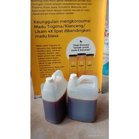 MADU MURNI TRIGONA ITAMA 5KG