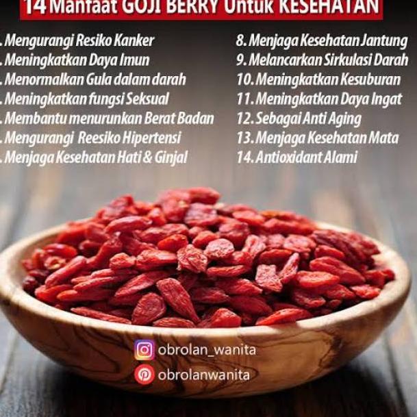 

✷Diskon Promo➢ Gojiberry / goji berry organic 250 gr 72