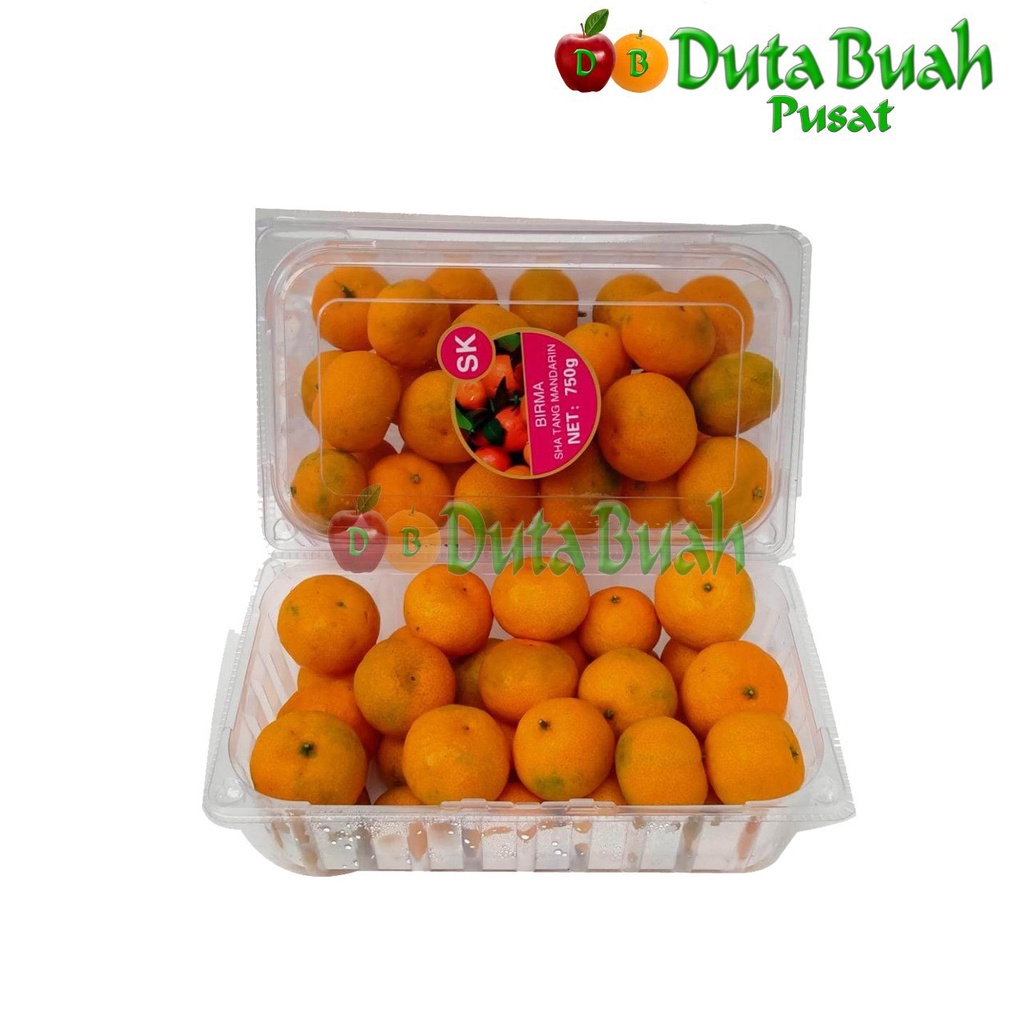 

DUTA BUAH Jeruk Santang Birma (+-750gram/pack)