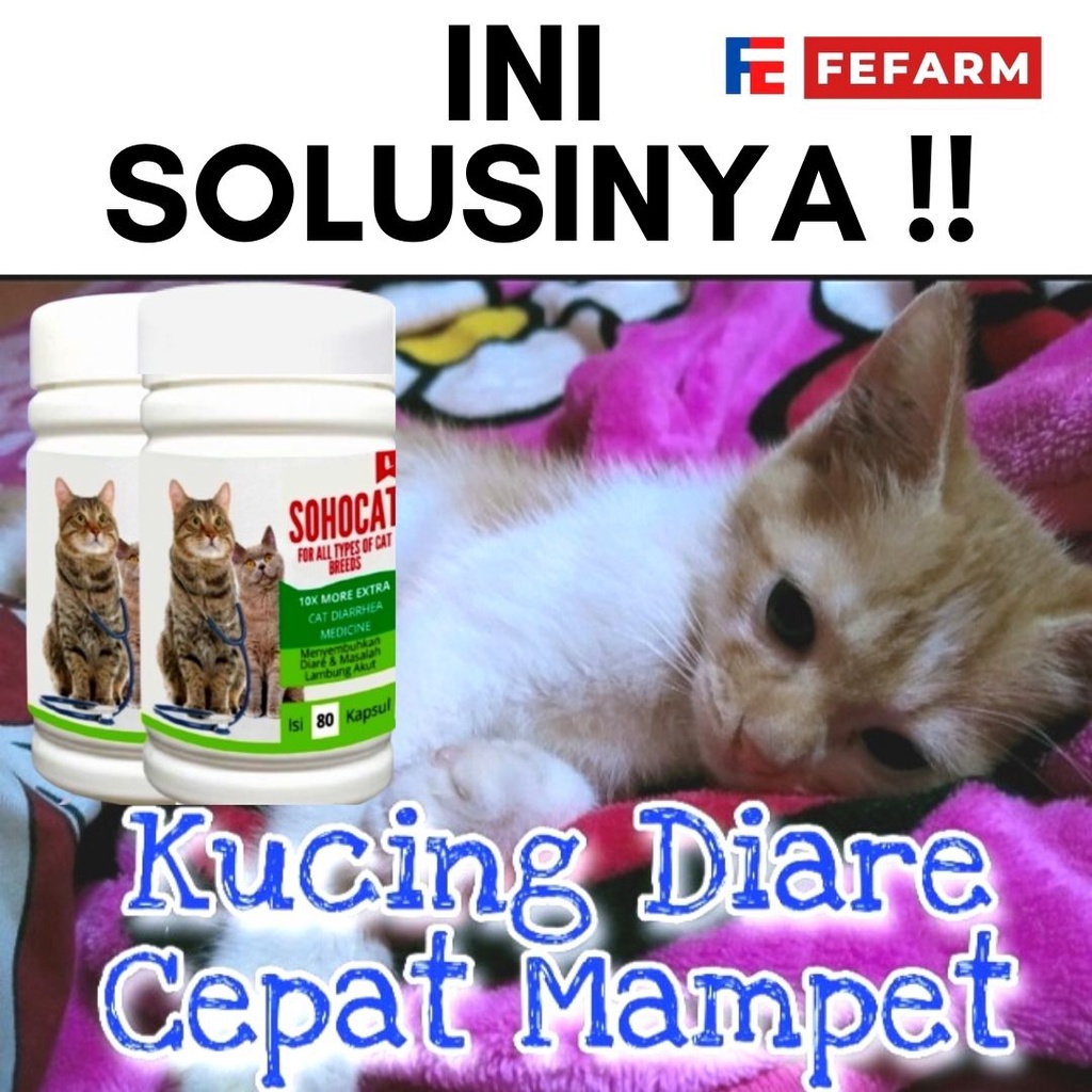 Obat Mencret Kucing / Obat Diare Kucing Mengatasi Diare FEFARM