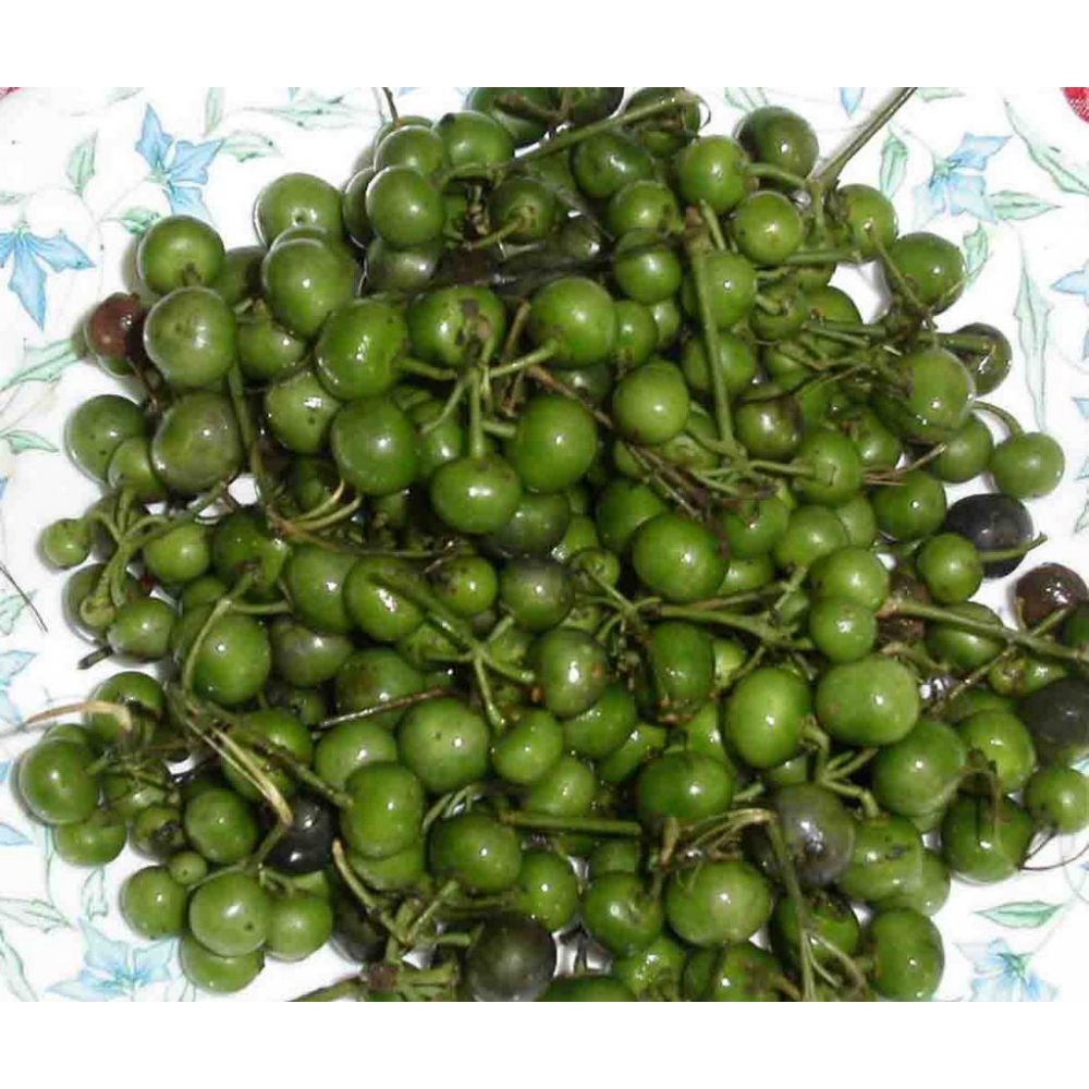 

Sayur Mentah Leunca Lenca 250gr