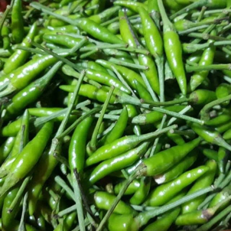 

[DAPUR EXPRESS] Cabe Rawit Hijau