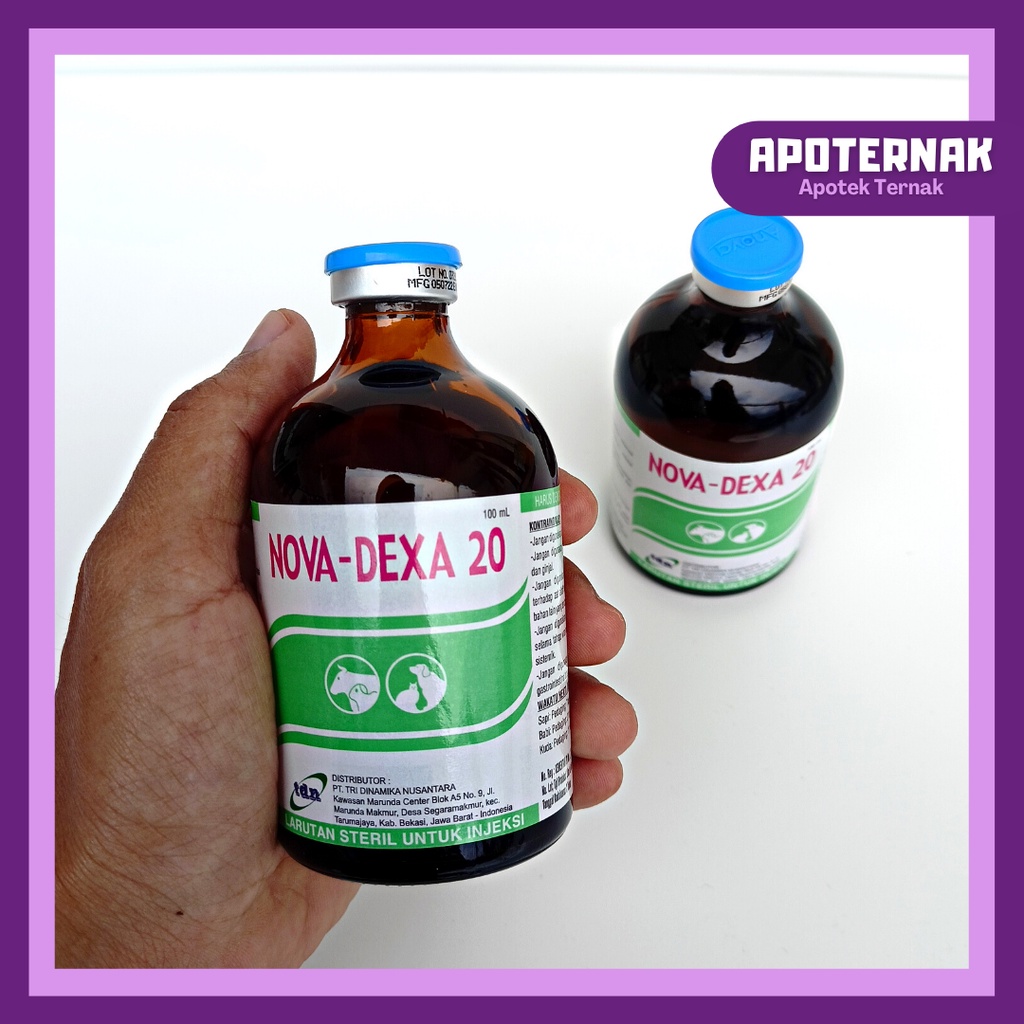 NOVA DEXA 20 | Dexamethasone Obat Anti Inflamasi /Radang /Alergi untuk Kuda Sapi Babi Anjing dan Kucing | 100 ml | ANOVA