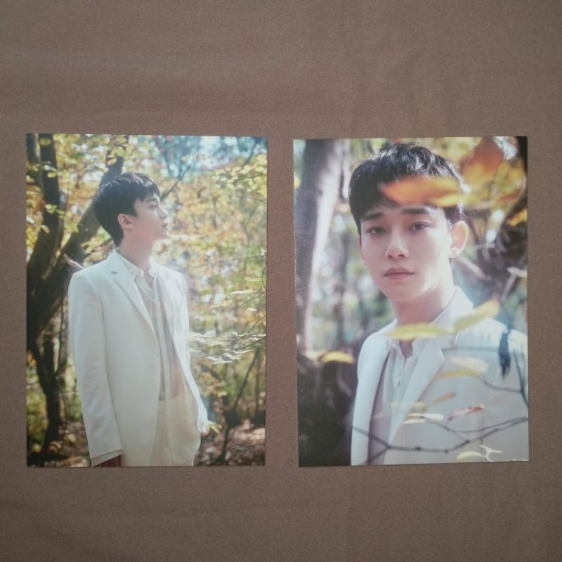Postcard Chen EXO Elyxion Tamsur (taman surga)