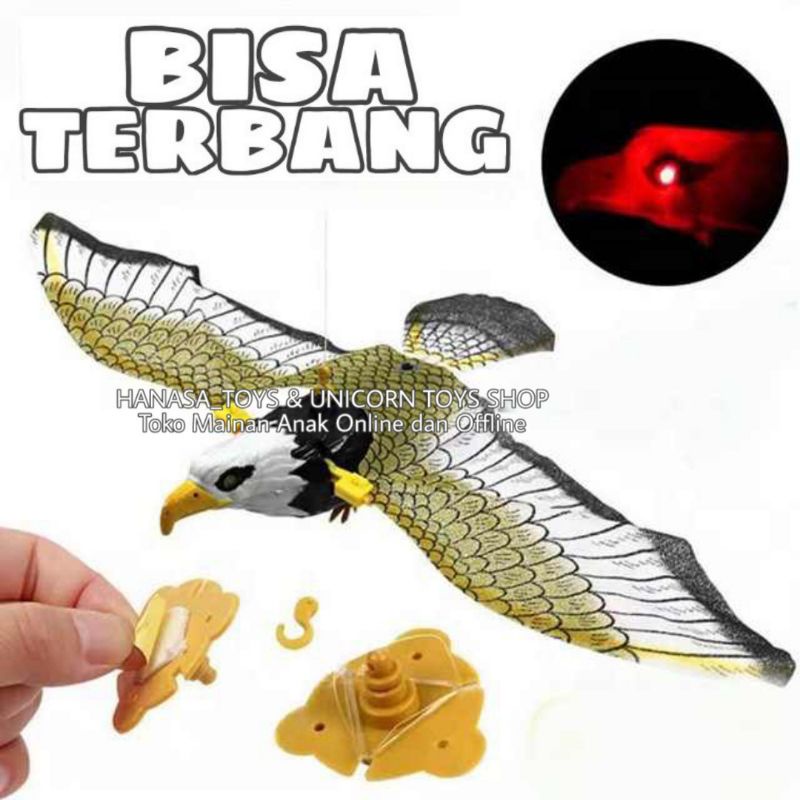 Jual Mainan Burung Elang Terbang Atau Burung Beo Terbang Mengepakkan Sayap Dan Bersuara Mainan