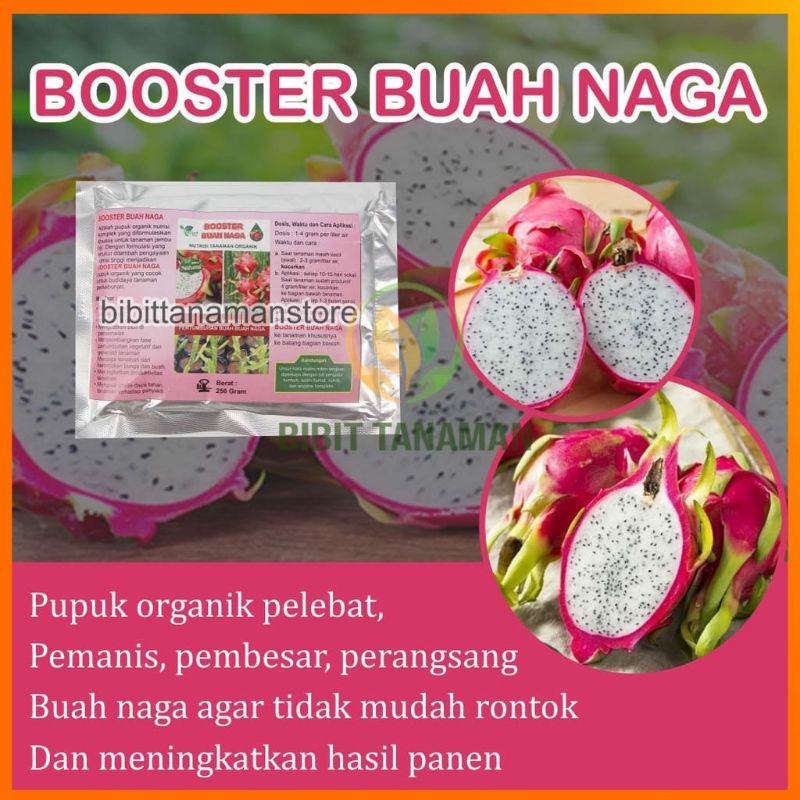 Pupuk Organik Pelebat Buah Dan Booster Buah Naga Cepat Berbuah Lebat