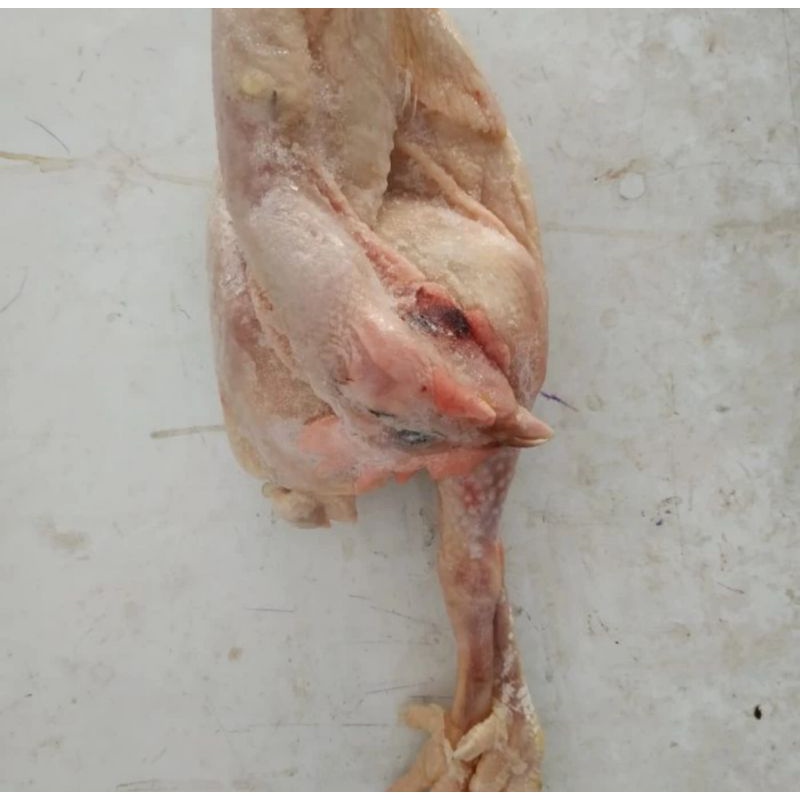 

Ayam Sotoan