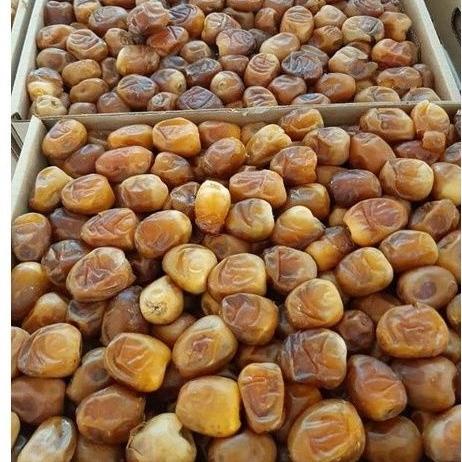 

KURMA SUKARI AL-QASSIM 3KG PANEN TERBARU RTH694GTR