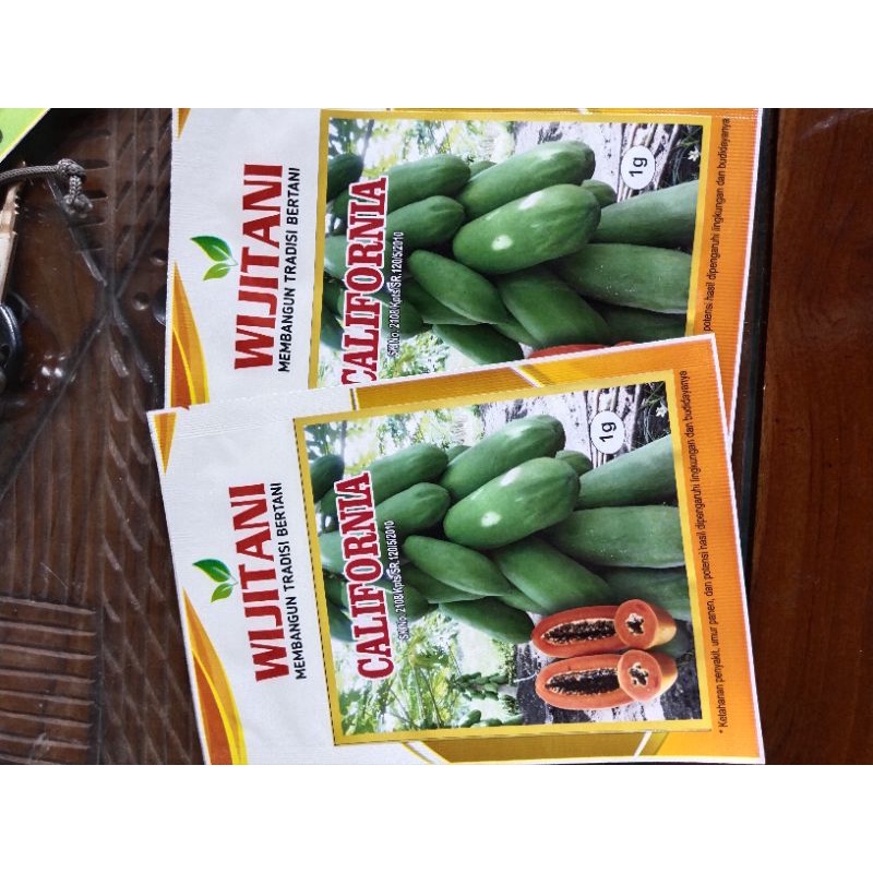 Benih Pepaya Kalifornia, benih pepaya unggul dari Wijitani