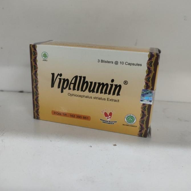 vit albumin kapsul