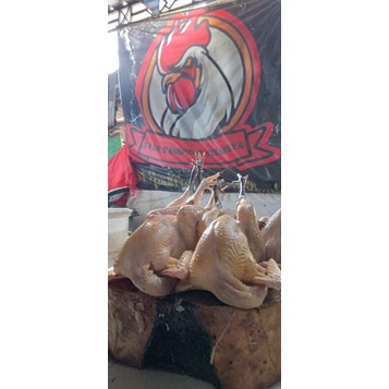 

AYAM KAMPUNG PAKET GOLD (5ekor)
