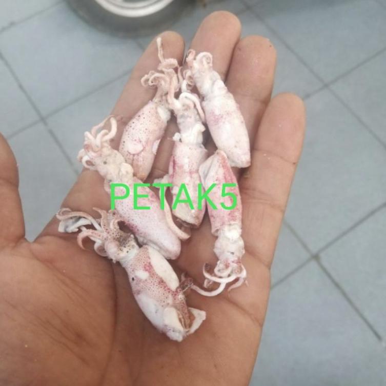 

[PRODUK HMHSF] Cumi asin beby 1kg/ cumi asin baby/cumi asin rebus/cumi asin kecil J0J