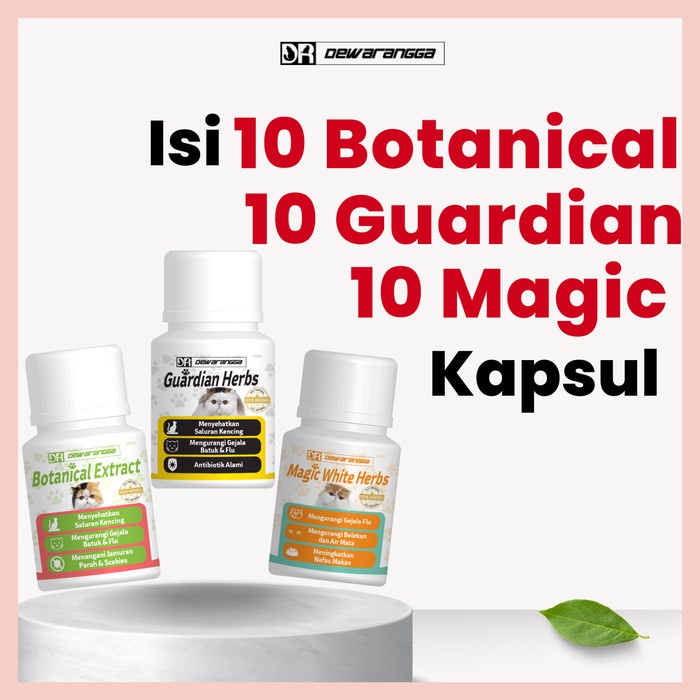 PAKET FLU BERAT - DEWARANGGA