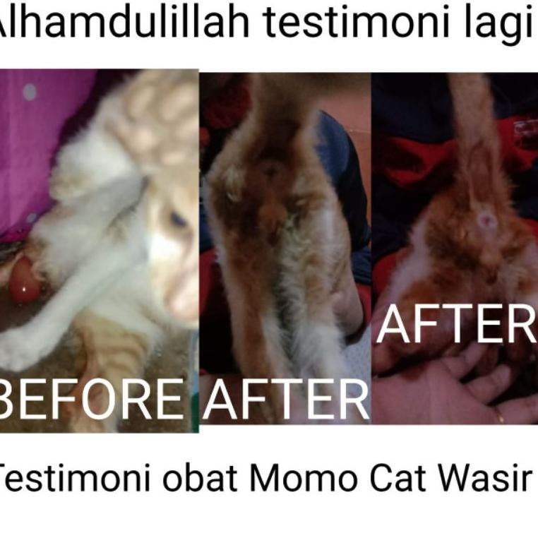 (Y(18)☛) OBAT WASIR KUCING(AMBEIEN) ATAU ANUS KELUAR SANGAT PATEN siap dikirim