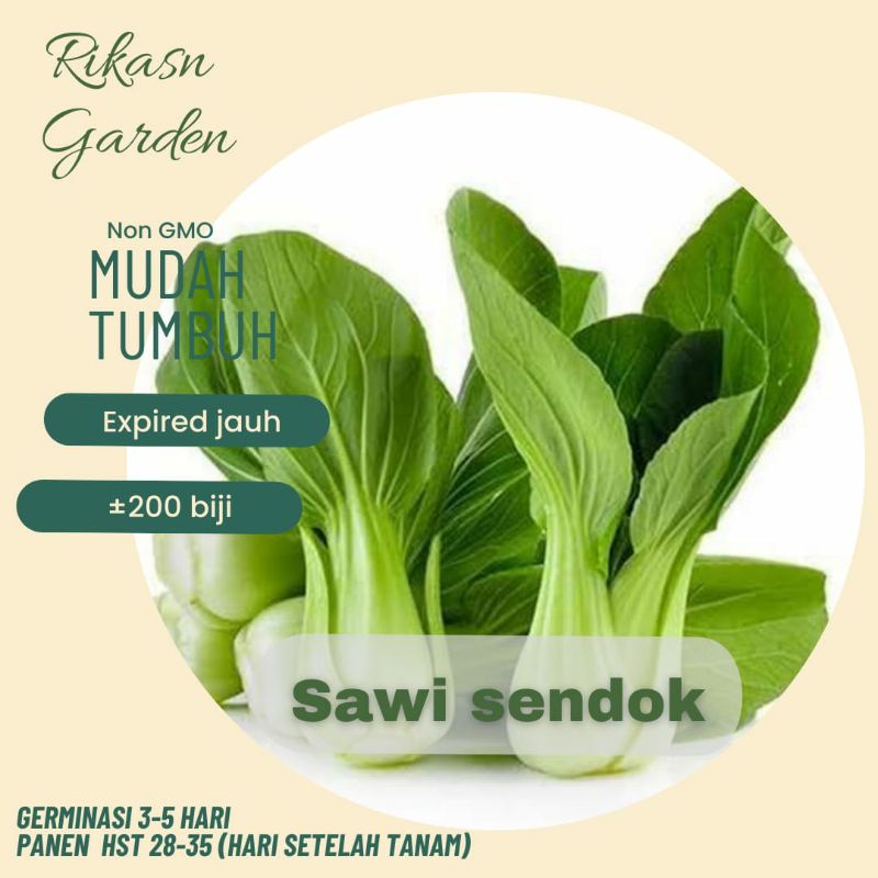 KHUSUS BATAM, BARELANG, BELAKANG PADANG  benih biji bibit sawi sendok