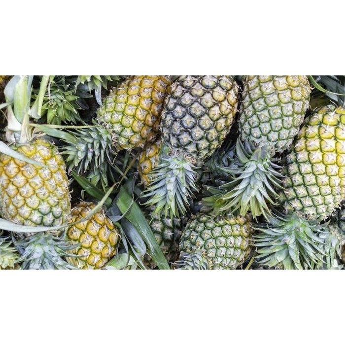 

nanas manis Buah Nanans Manis