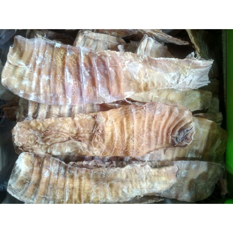

rebung kering