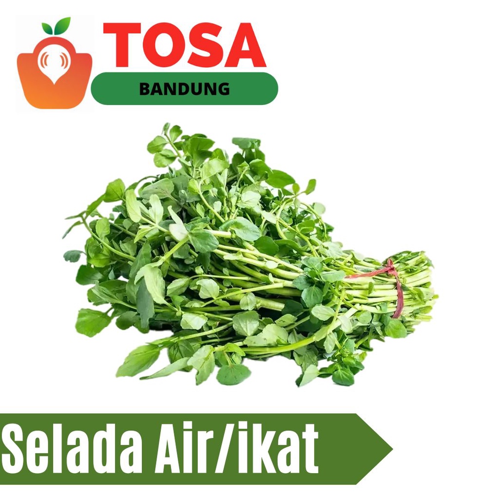 

Selada air/Kecombrang/Daun Kunyit