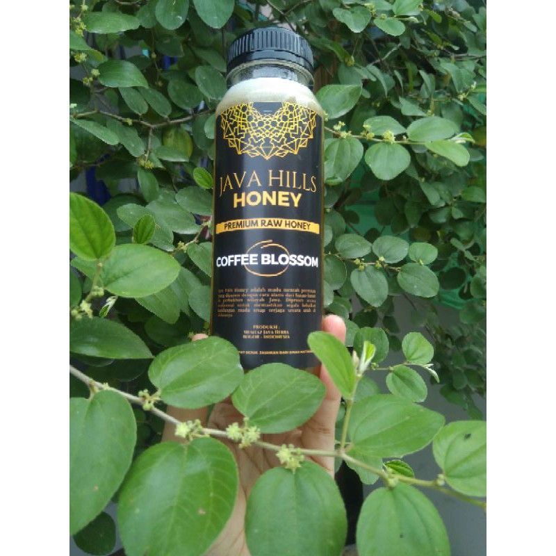 

JAVA HILLS HONEY. MADU COFFE BLOSSOM 100% ASLI SUDAH UJI LAB 350gr