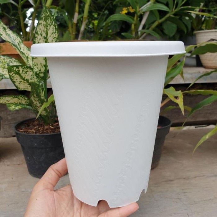 Jm Ruby Astor Batik 15 Pot Bunga Bulat Tinggi Mirip Yogap 15 Bagus