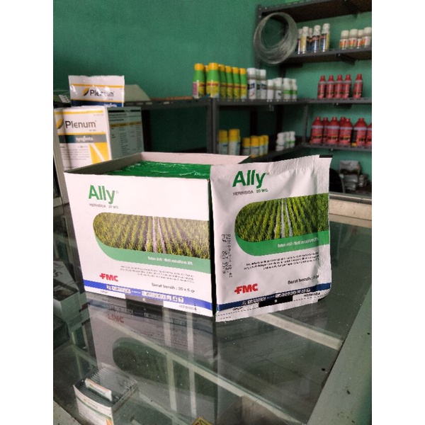 Ally 20wg