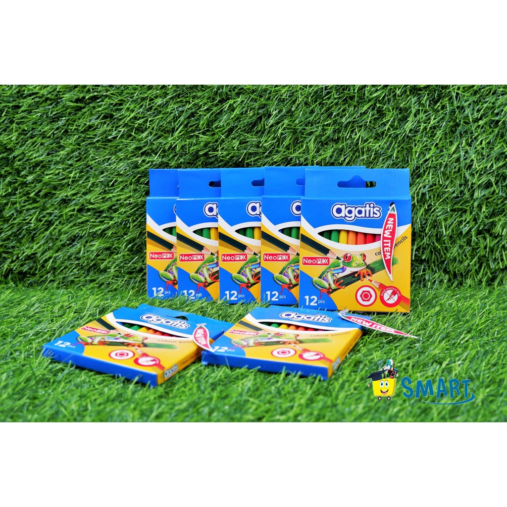 

AGATIS PENCIL WARNA C12 HALF