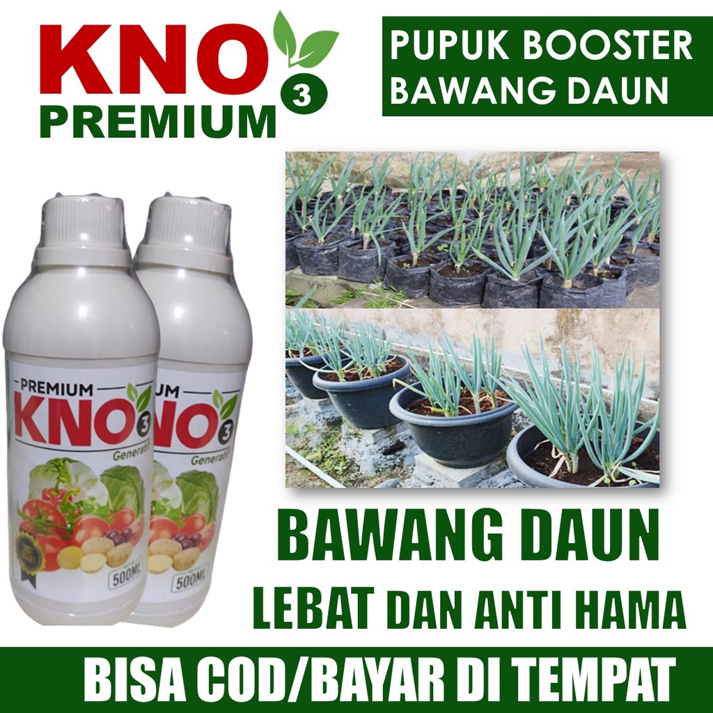 Jual Pupuk Bawang Merah Pelebat Tunas Bebas Busuk Daun Antraknosa Pupuk