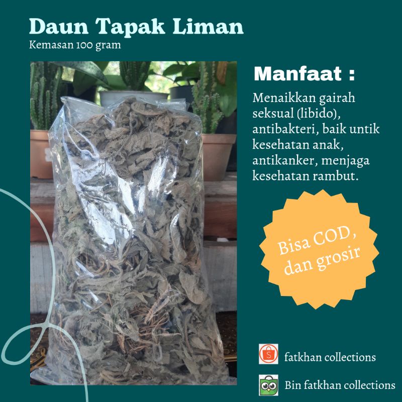 

Daun Tapak Liman