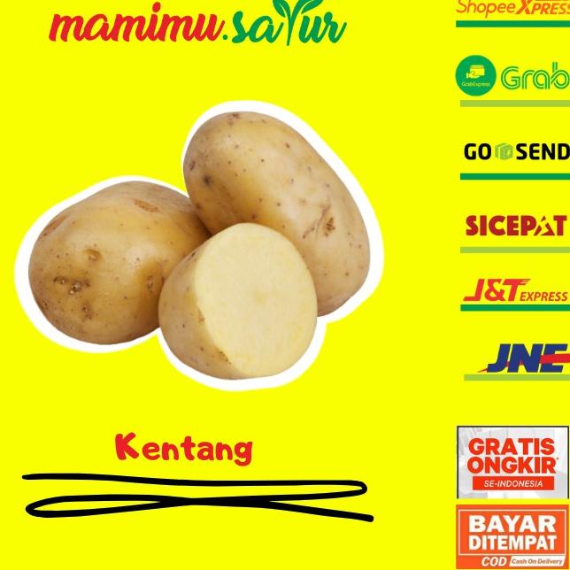 

Terbaru KENTANG SUPER KENTANG DIENG GRADE AB KENTANG BESAR MURAH SAYUR SAYURAN SEGAR 1 KG