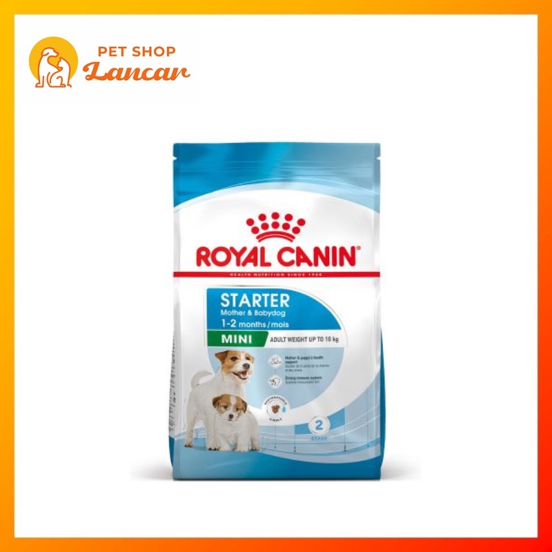 Royal Canin Mini Starter Mother &amp; Baby Dog 4Kg