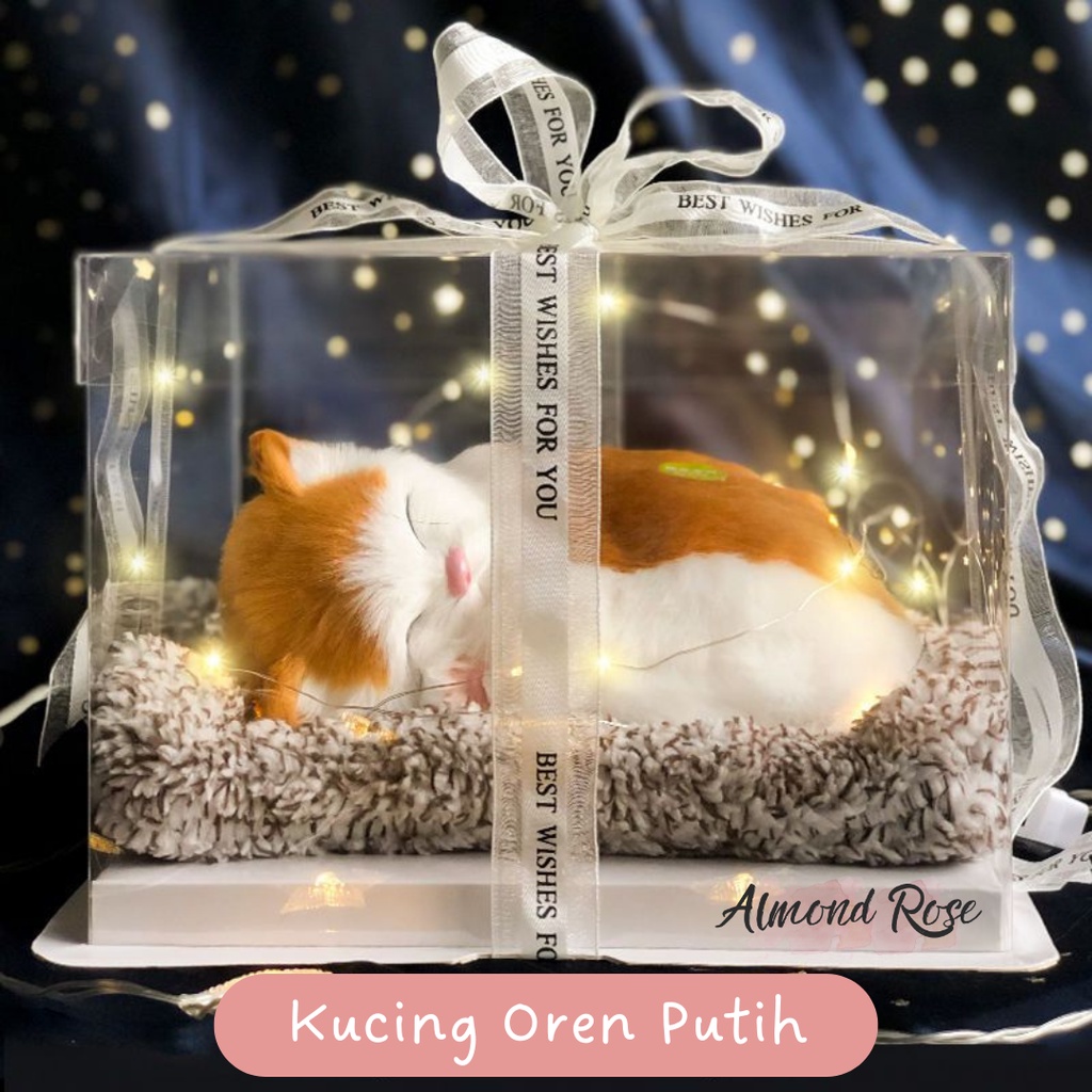 KUCING OREN PUTIH - Hampers Boneka Tidur kado cewe kado pacar hadiah kado boneka kucing kucing arang