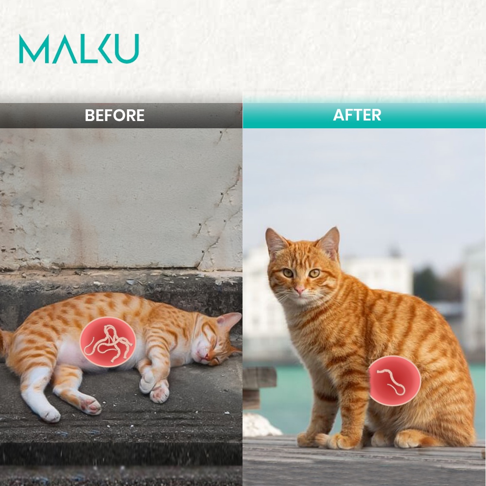 MALKU Deworming - Obat Cacing Kucing