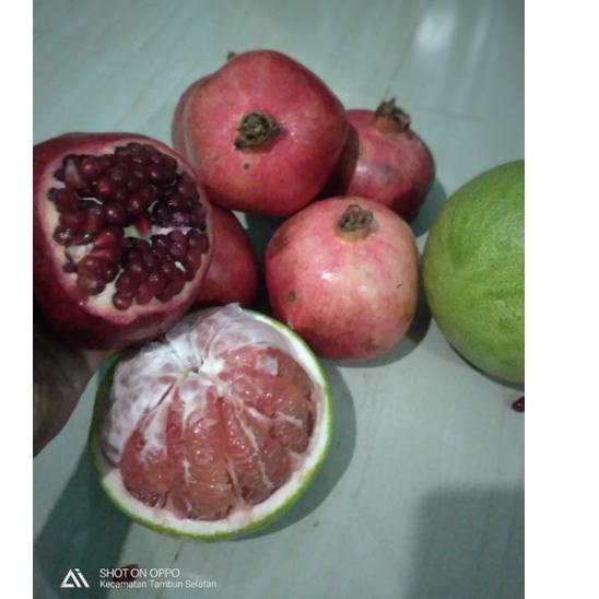 

ORIGINAL% Buah delima IMPORT MESIR JUMBO