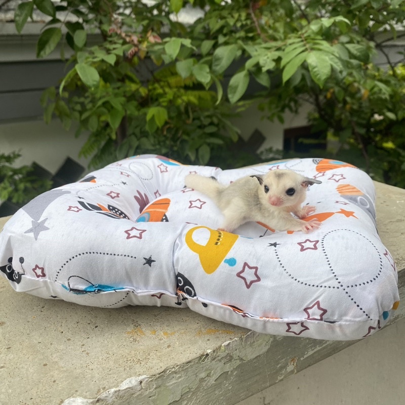 BANTAL SUGAR GLIDER KUCING ANJING KITTEN SLEEPING POUCH SUGAR GLIDER