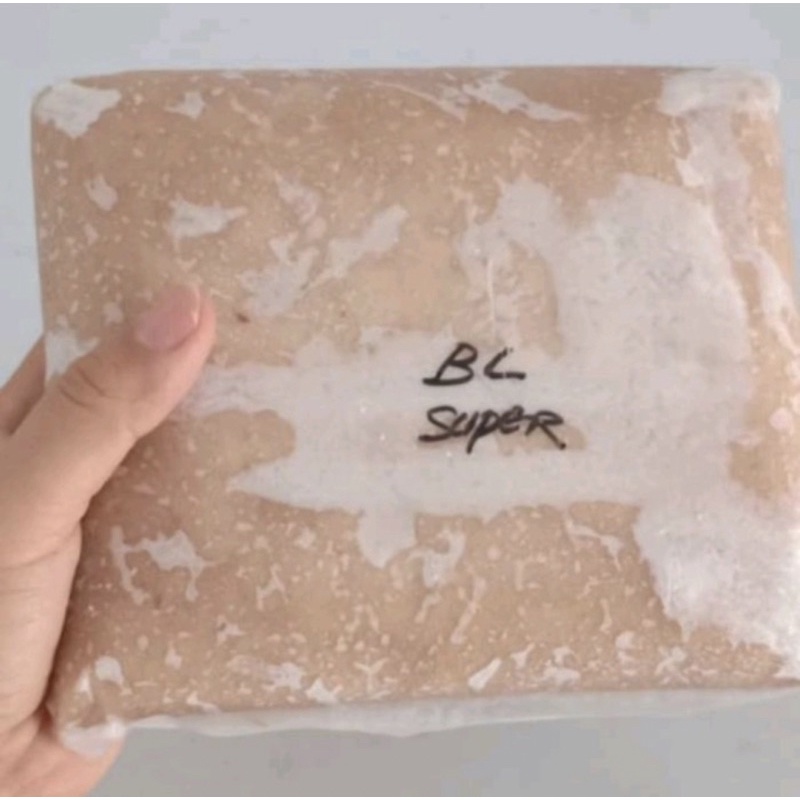 

IKAN TENGGIRI GILING BULAT JANTAN SUPER MURNI 100%