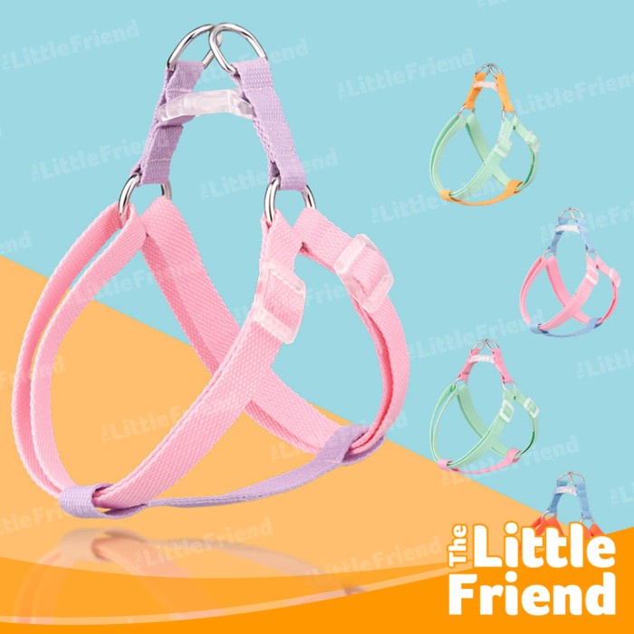 Harness Collar Leash Tali Anjing Kucing Macaron Rainbow Color 4 in 1