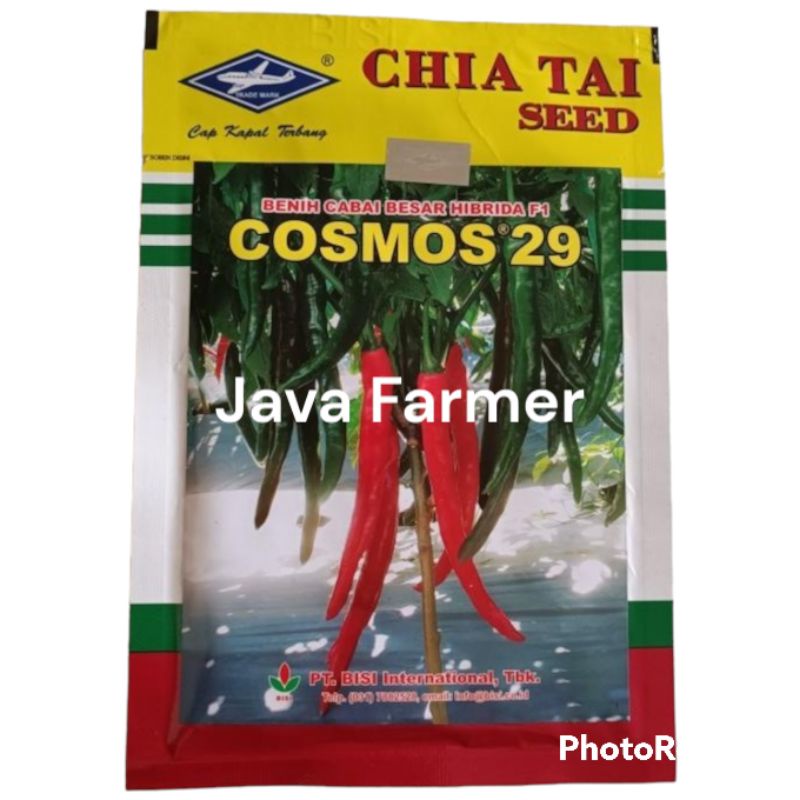 Benih Cabai Besar Hibrida F1 Cosmos 29 10 gram