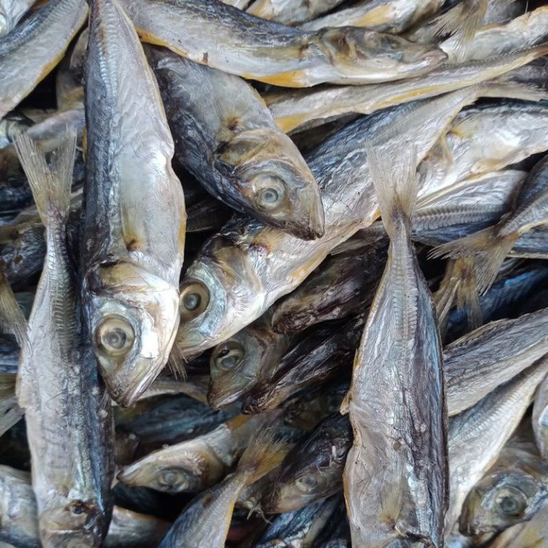 

ikan asin klotok rencek /kecil 150 gram