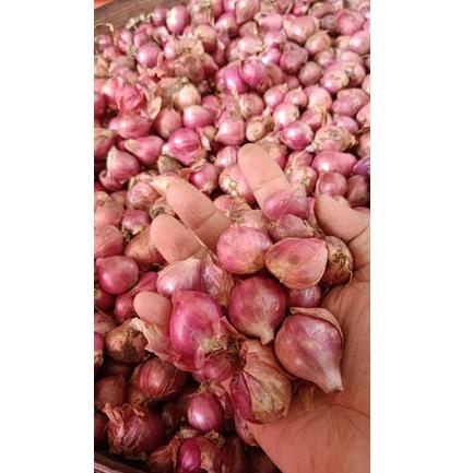 

ぼ Bawang merah probolinggo ukuran campur 250gr - 1kg ナ