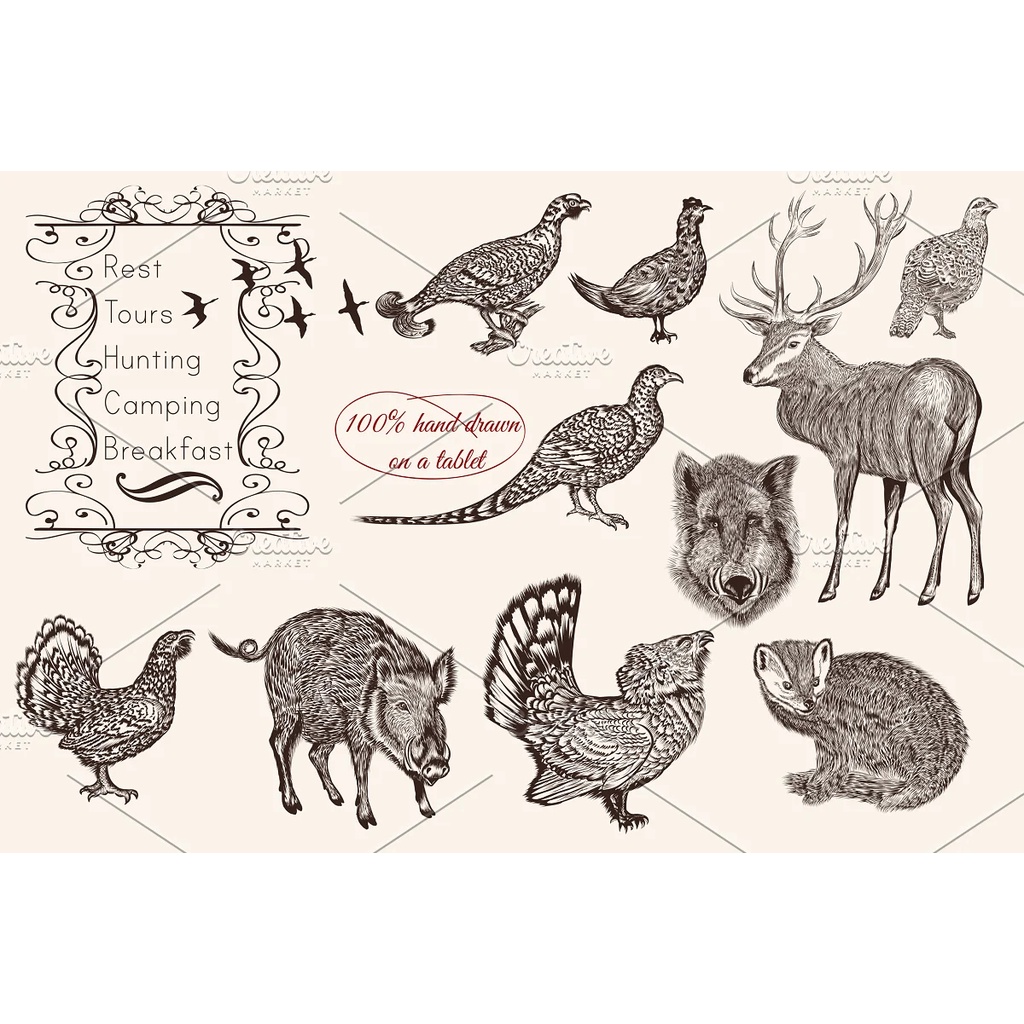 Bundle From Vector Engraved Animals