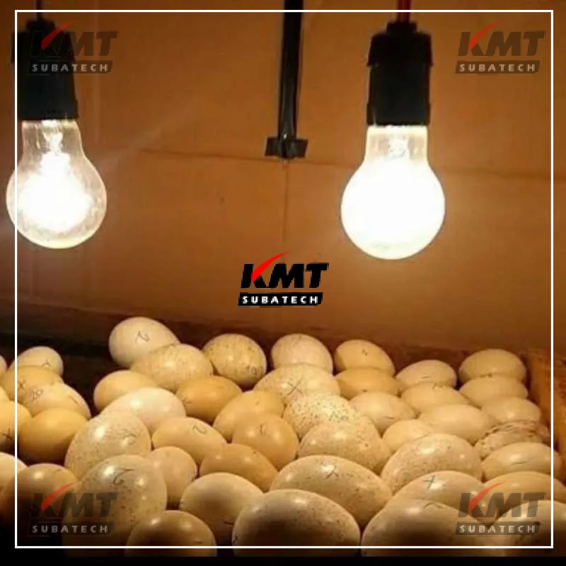 Fitting Lampu Bohlam Gantung Pemanas Mesin Tetas