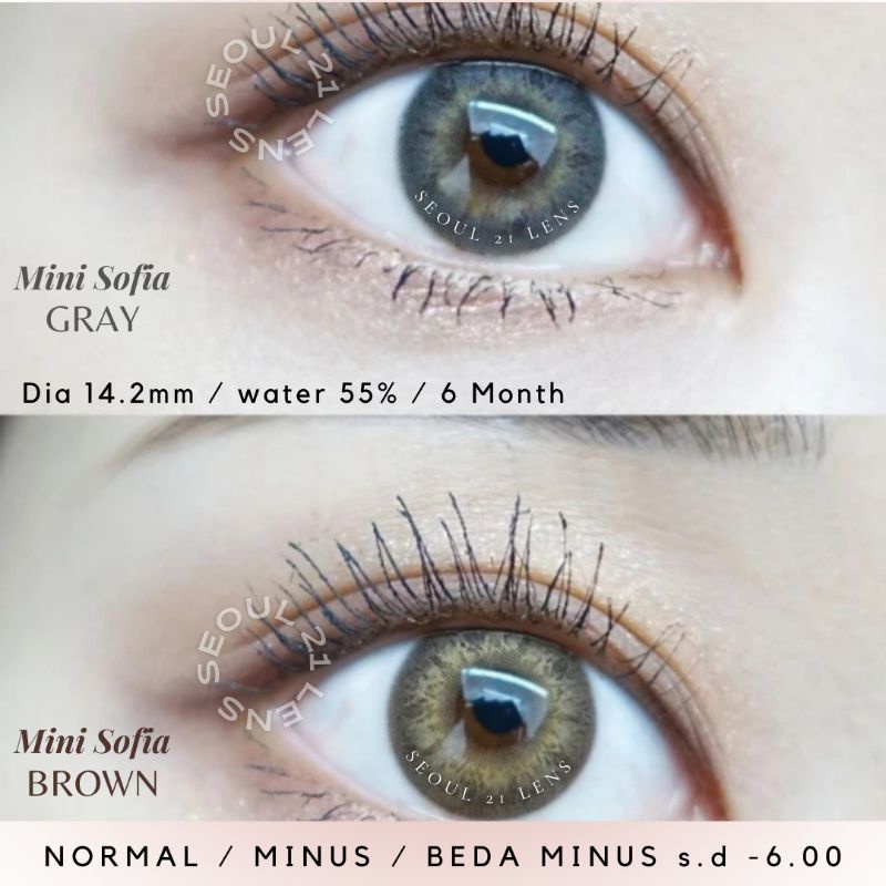 SOFTLENS MINI SOFIA BROWN KITTY KAWAII NORMAL MINUS Softlen Premium Made in Korea