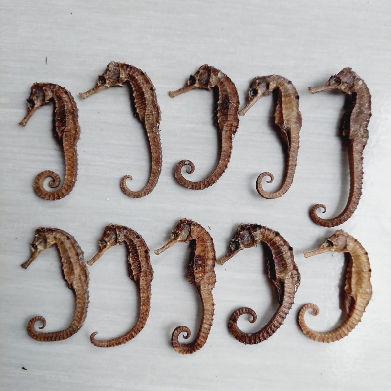 

Paket Hemat 10 KL Kering