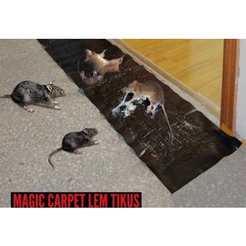 Promo Lem Perekat Tikus / Perangkap Jebakan Tikus / Karpet Lem Perangkap Tikus