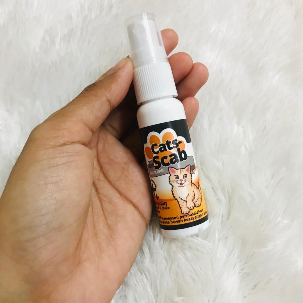 Cats Scab Obat Ati Jamur Kadas Scabies Infeksi Kucing